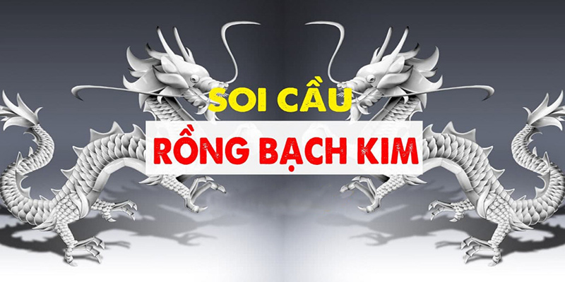 Soi Cầu Rồng Bạch Kim - Những Phân Tích Chuyên Sâu Từ GO88 1 Soi cầu rồng bạch kim